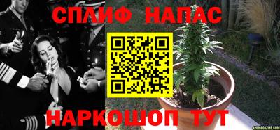 каннабис Аргун