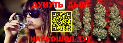 гидропоника Апшеронск