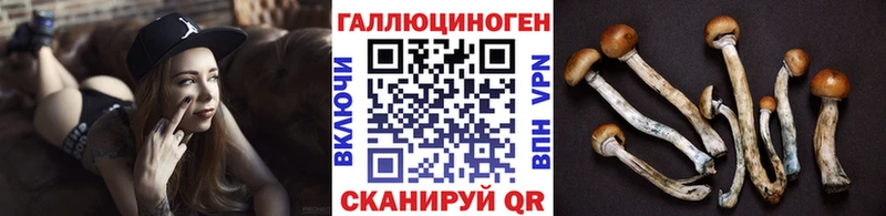 Галлюциногенные грибы Psilocybe  omg сайт  Белая Калитва 