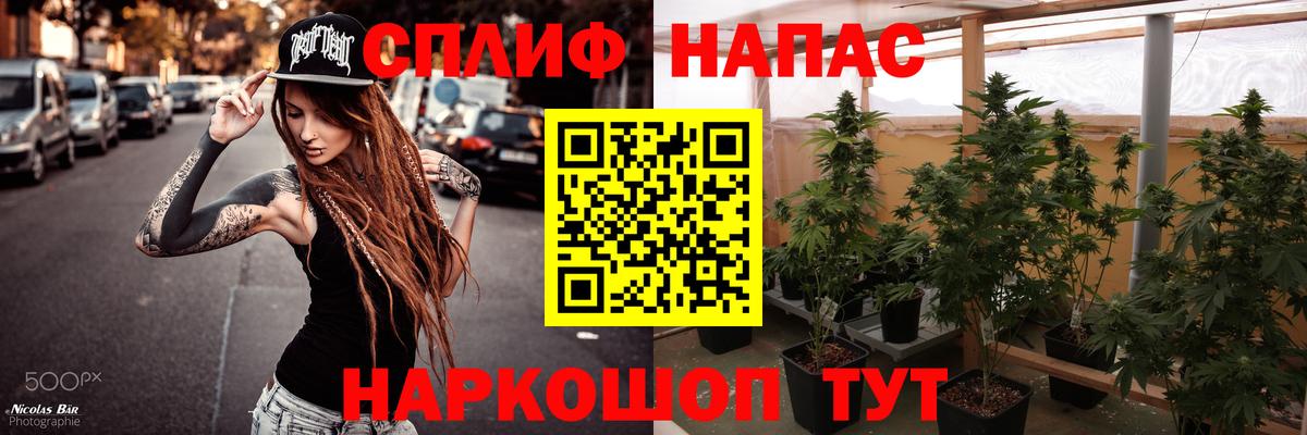 Канабис SATIVA & INDICA  Каннабис MAZAR  Белая Калитва  Марихуана семена 